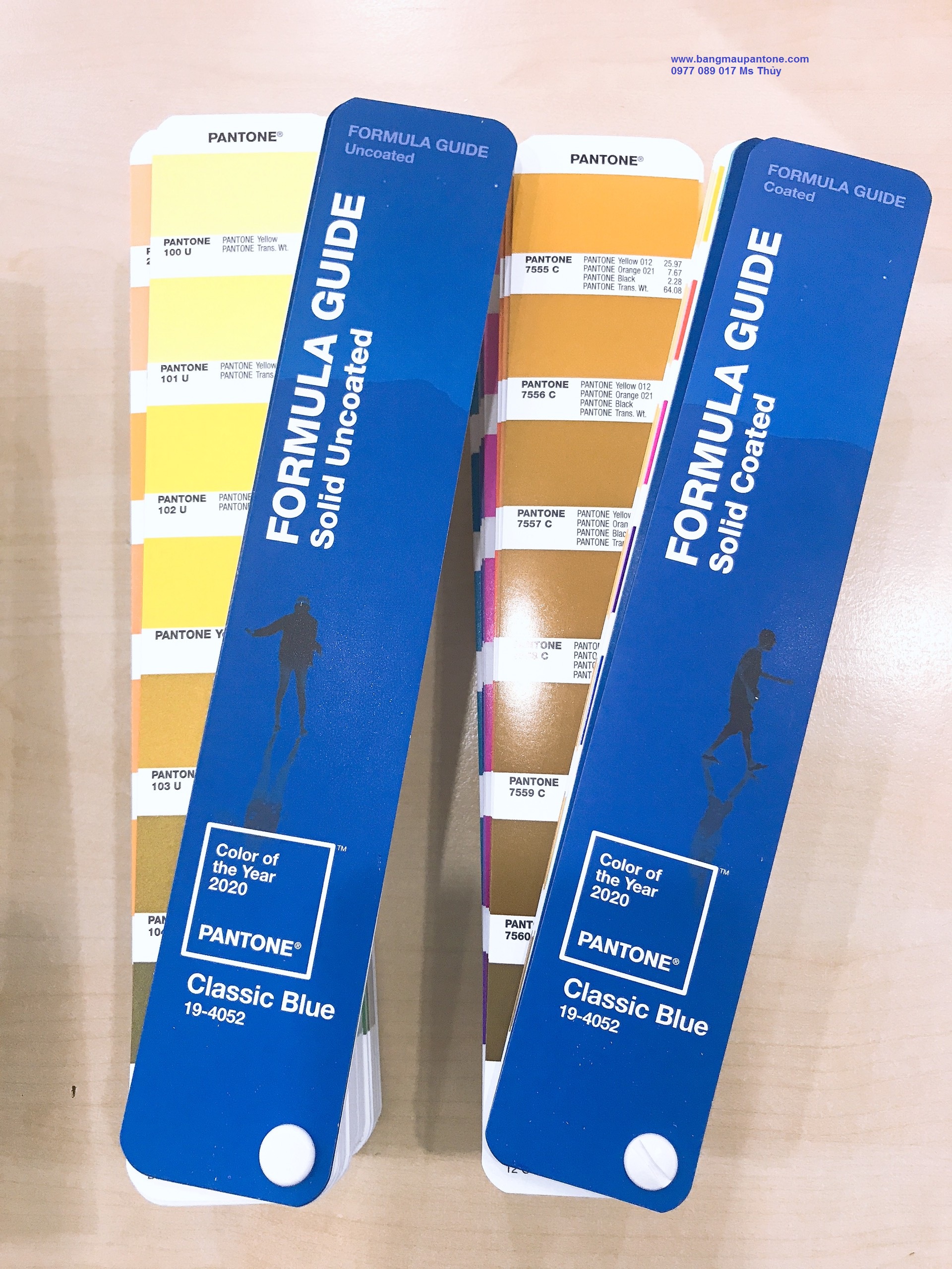 DĨNH TRẦN COLOR - CHUYÊN CUNG CẤP PANTONE UY TÍN SỐ 1 VIỆT NAM 17 NĂM