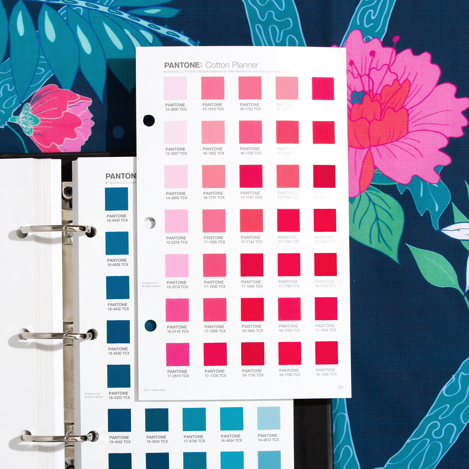 DĨNH TRẦN COLOR - CHUYÊN CUNG CẤP PANTONE UY TÍN SỐ 1 VIỆT NAM 17 NĂM