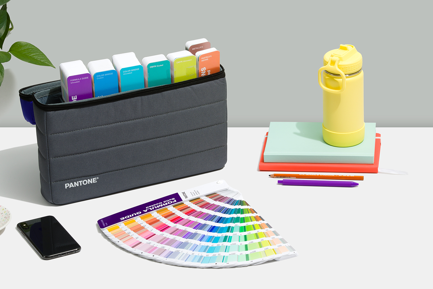 DĨNH TRẦN COLOR - CHUYÊN CUNG CẤP PANTONE UY TÍN SỐ 1 VIỆT NAM 17 NĂM