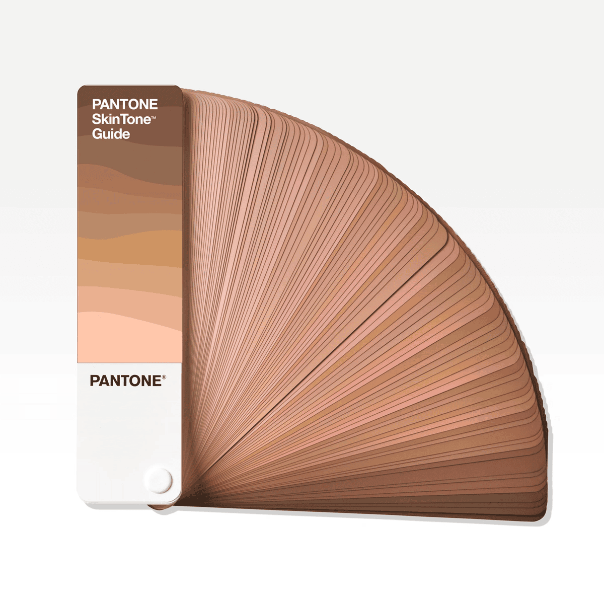 DĨNH TRẦN COLOR - CHUYÊN CUNG CẤP PANTONE UY TÍN SỐ 1 VIỆT NAM 17 NĂM
