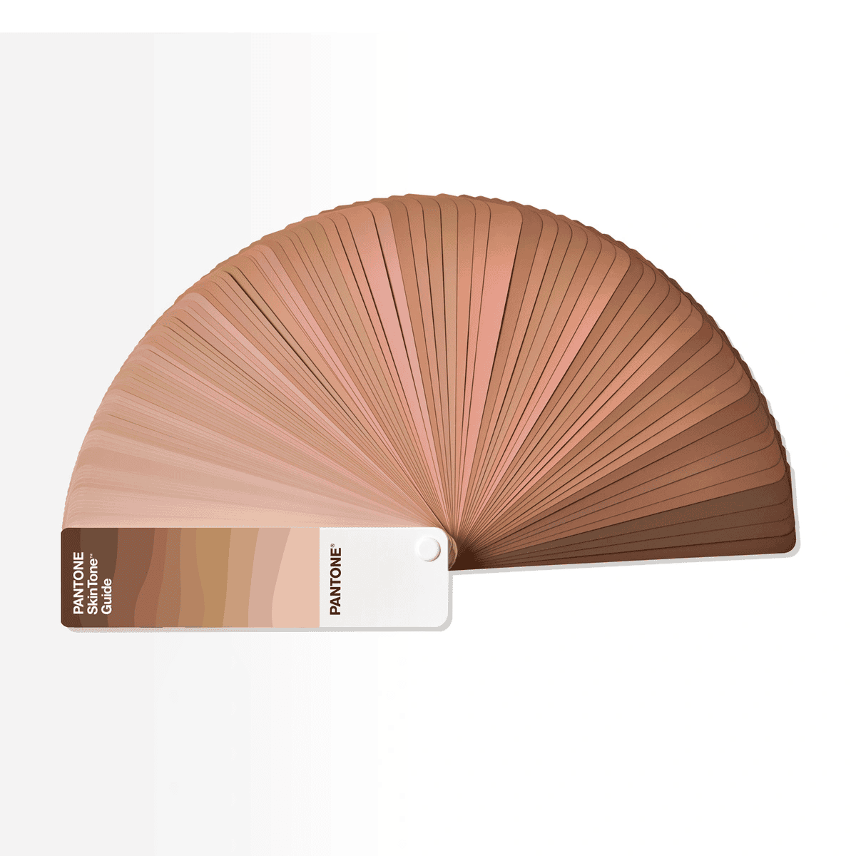 DĨNH TRẦN COLOR - CHUYÊN CUNG CẤP PANTONE UY TÍN SỐ 1 VIỆT NAM 17 NĂM